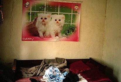 House of Happiness